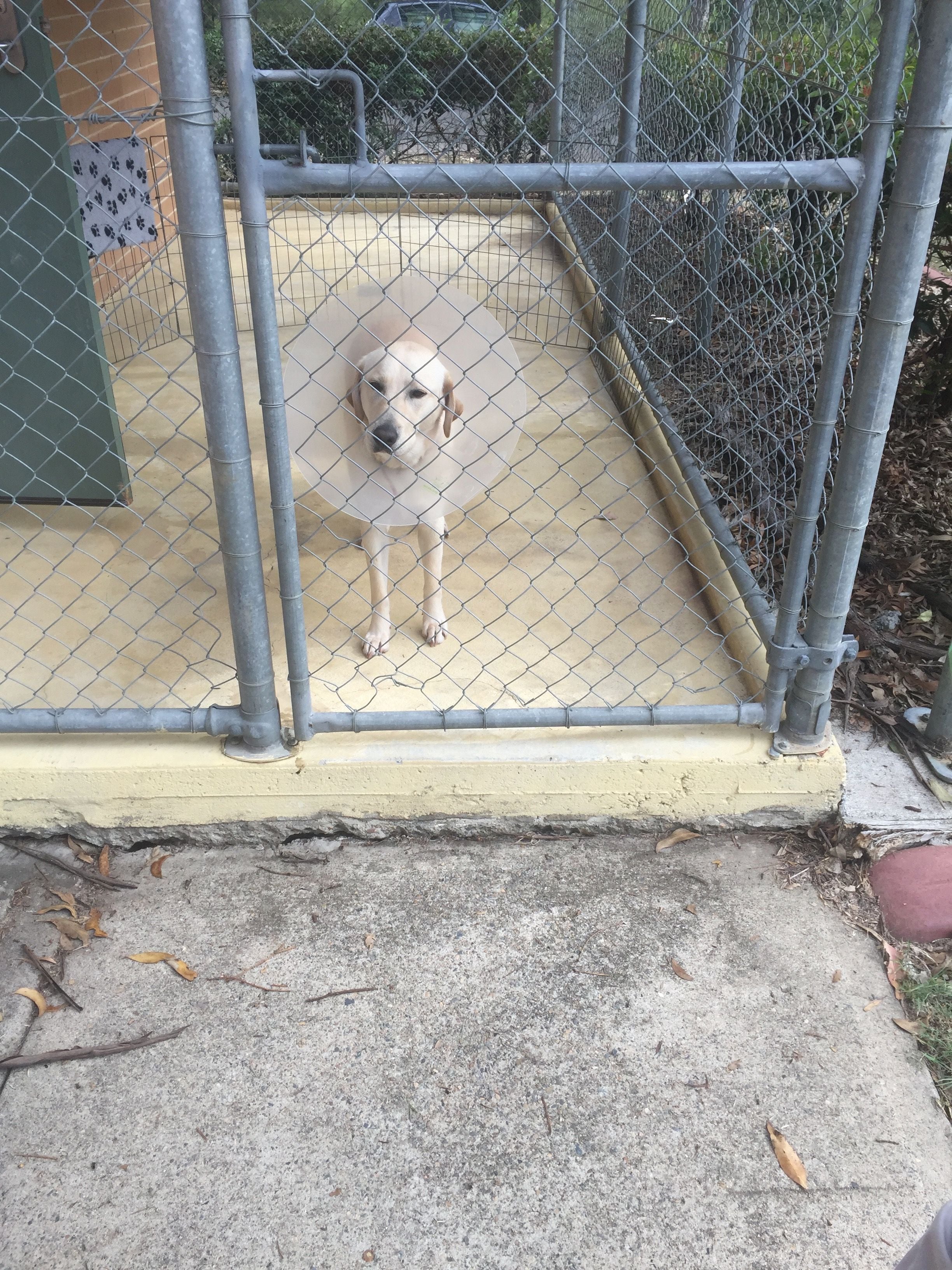 Guide Dogs NSW Day Tour Image -5b1625bd21c6c